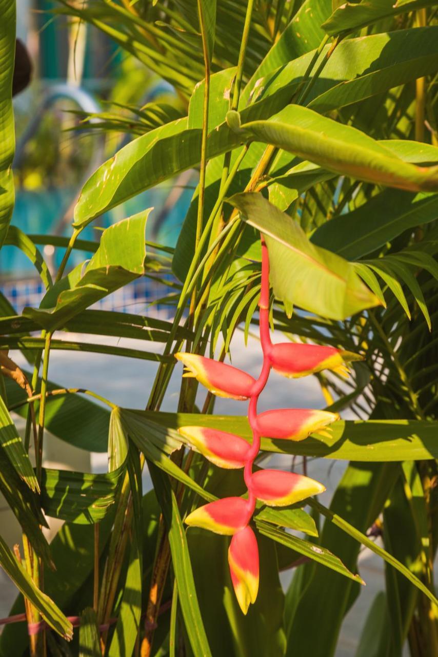 Philip Bungalow Phu Quoc Bagian luar foto